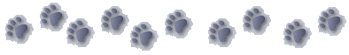 pawprints